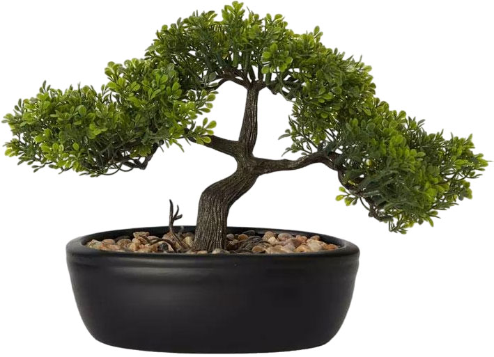 Bonsai